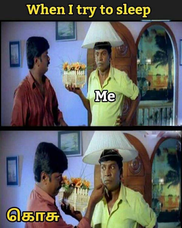 Funny memes collection on Mosquito 15-014-2023