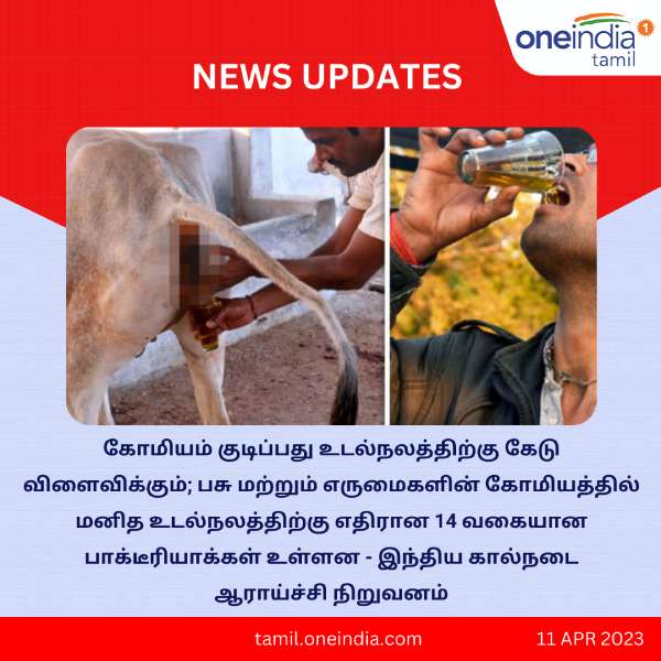 Dont intake cow urine cow mudra warning from animal welfare body 