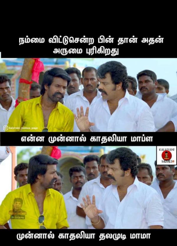  Funny memes collection on hair