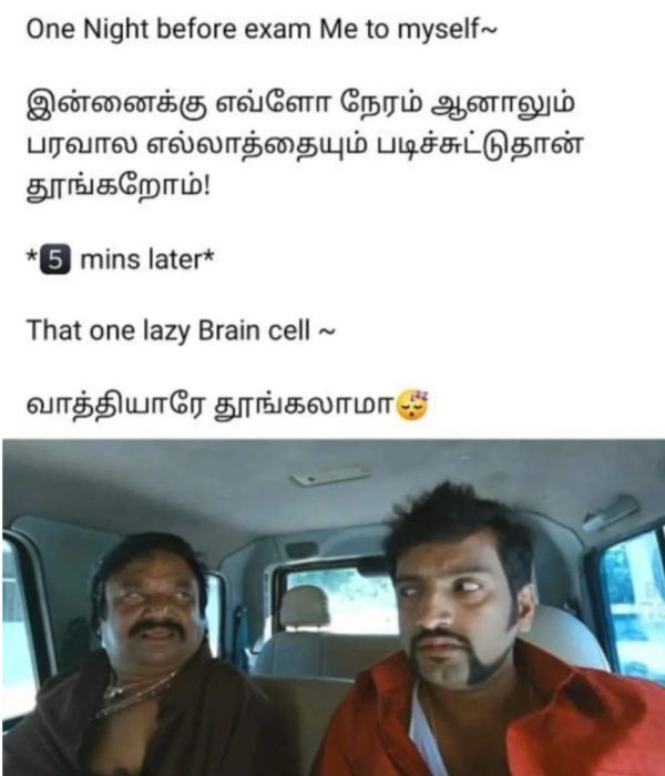  Funny memes collection on Exams and holiday