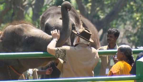 PM Modi will meet Oscar winning heros Bomman-Belli couple at Theppakkad elephant camp in Nilgiris district PM Modi will meet Oscar winning heros Bomman-Belli couple at Theppakkad elephant camp in Nilgiris district