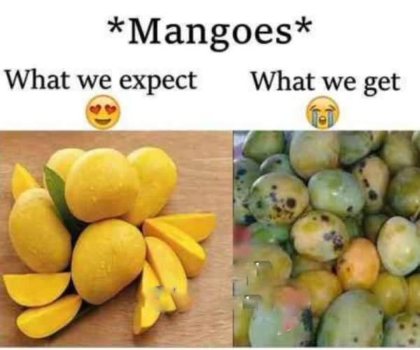 These are some jolly memes collection on mangoes.