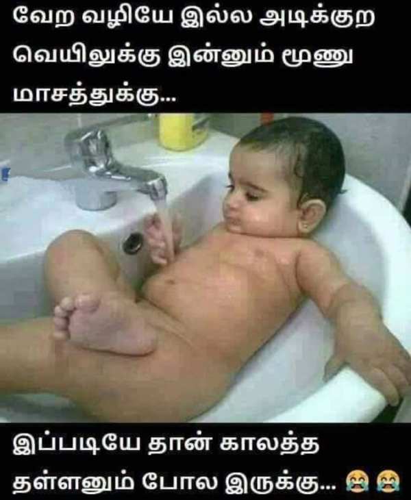 Funny memes collection on summar