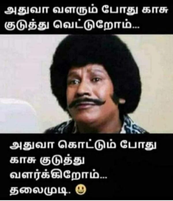  Funny memes collection on hair