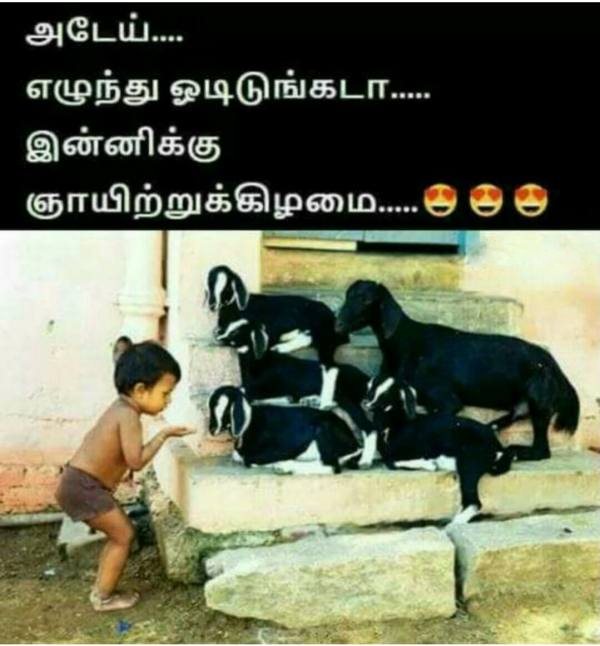 Funny memes collection on sunday special food 09-04-2023
