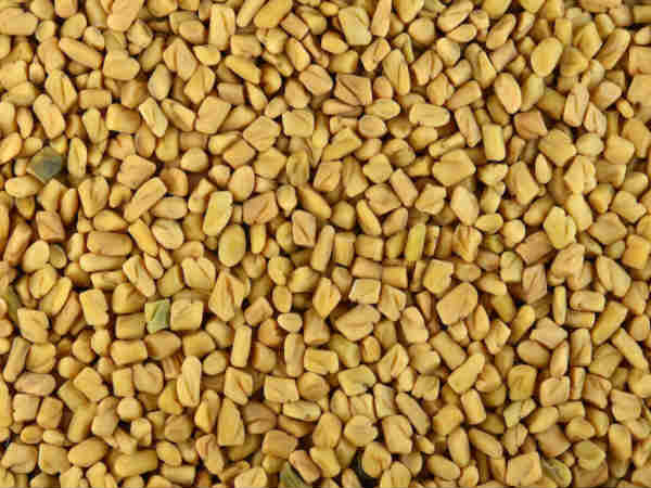 வெந்தையம் 