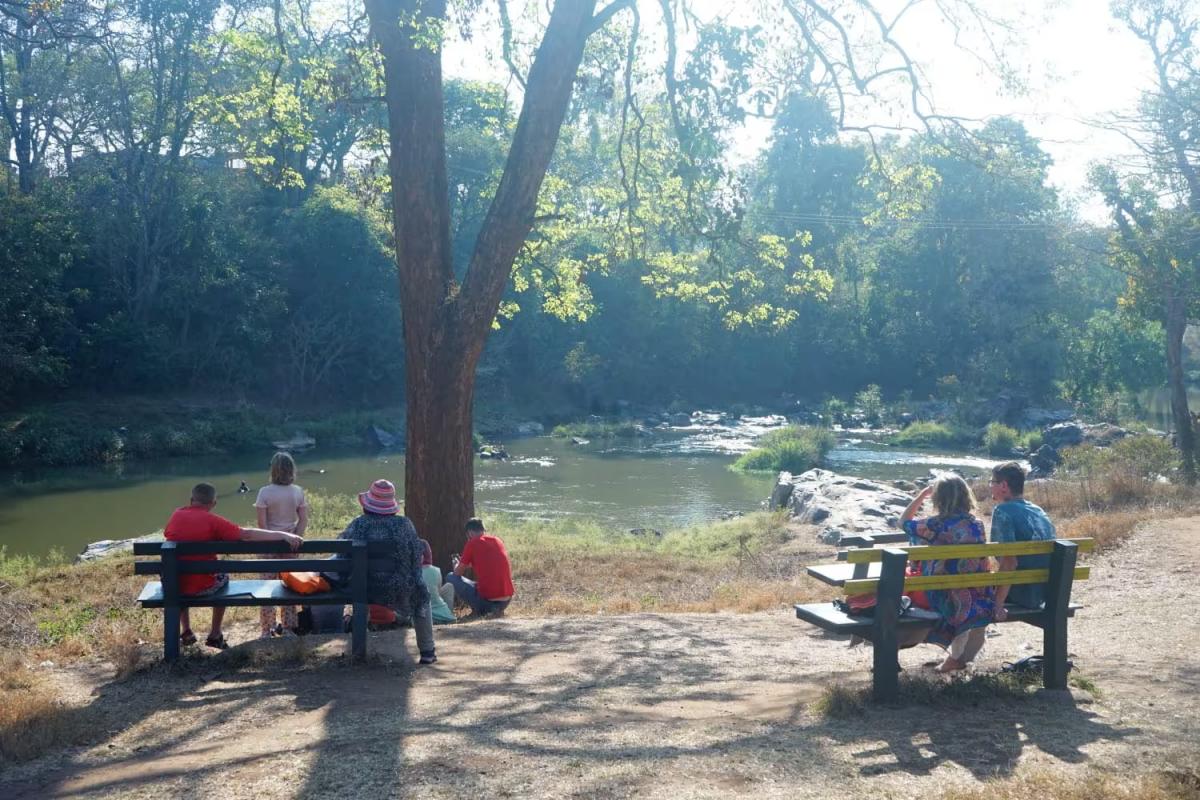 mudumalai tiger reserve will be closed from today 6th to 9th, reserve management notification mudumalai tiger reserve will be closed from today 6th to 9th, reserve management notification
