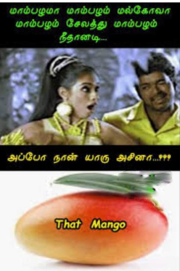 These are some jolly memes collection on mangoes.
