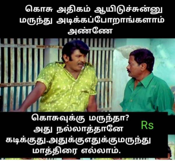 Funny memes collection on Mosquito 15-014-2023