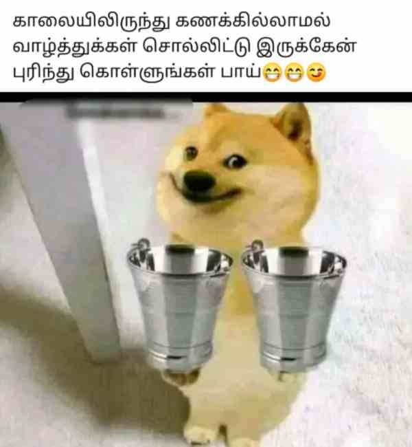  Funny memes collections on sunday special food 23-04-2023
