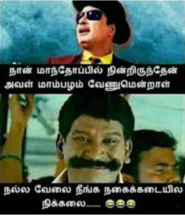 These are some jolly memes collection on mangoes.