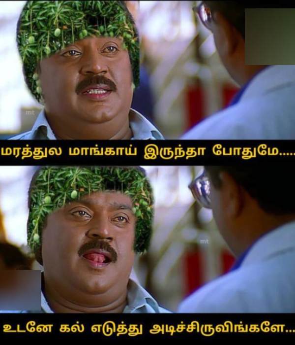 These are some jolly memes collection on mangoes.