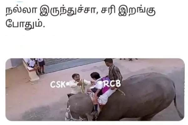 IPL 2023 : These are some jolly memes Collection on CSK vs RCB match