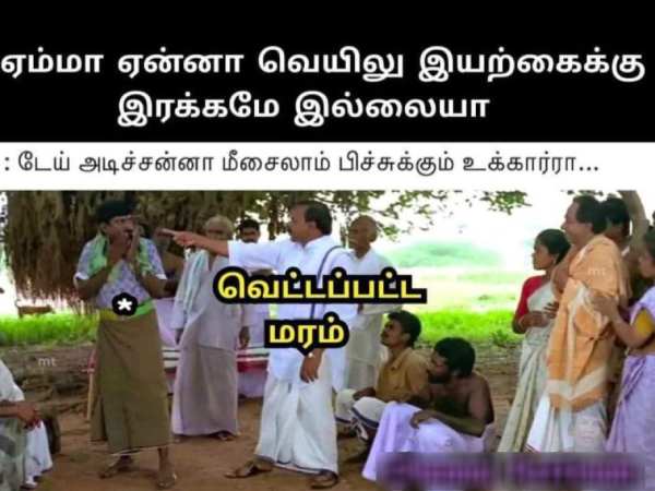 Funny memes collection on summar