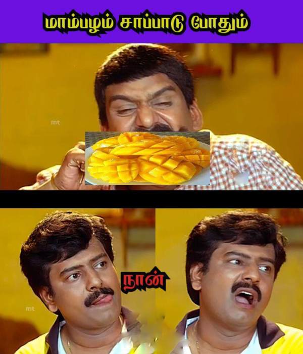 These are some jolly memes collection on mangoes.
