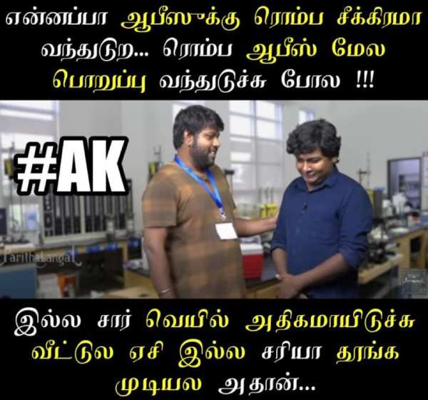 Funny memes collection on summar