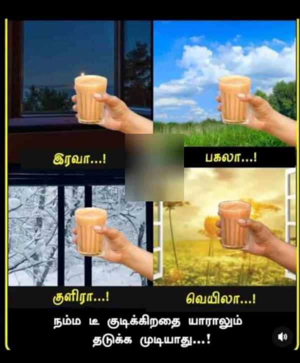 Funny memes collection on summar 19-04-2023