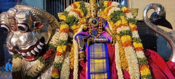 Madurai Chithirai thiruvizha 2023 Kodiyetram: Sundareswarar Meenakshi Amman in Simma Vahana 