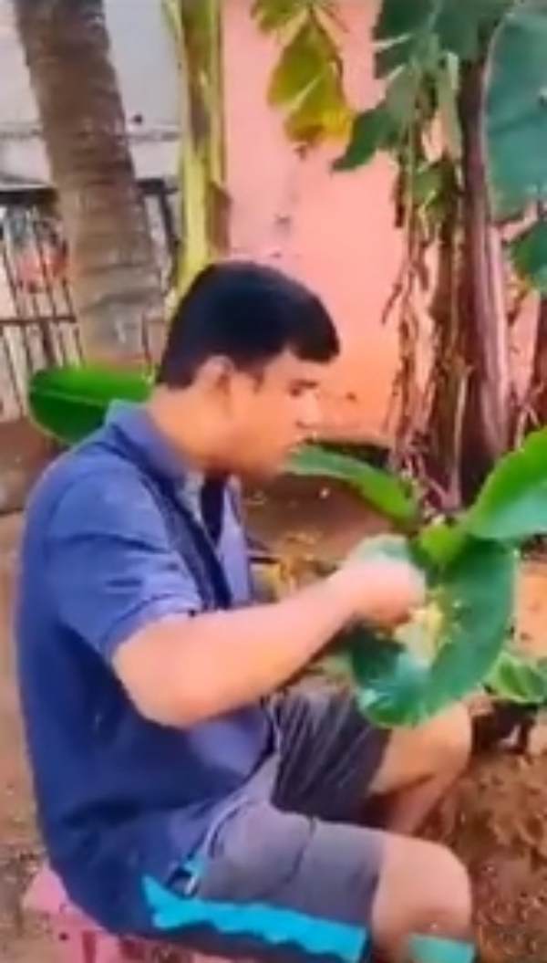 netizens high appreciate a super meme about Anand Srinivasan 