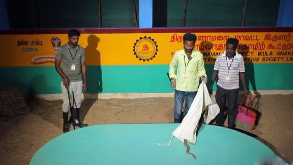 CM Stalin has spent 32 lakh rupees for the development of the Irula people of Tiruvannamalai district CM Stalin has spent 32 lakh rupees for the development of the Irula people of Tiruvannamalai district