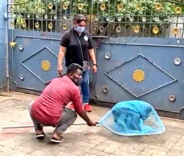 Chennai Corporation said good news, Family planning surgery for dogs 407 stray dogs in just 10 days Chennai Corporation said good news, Family planning surgery for dogs 407 stray dogs in just 10 days