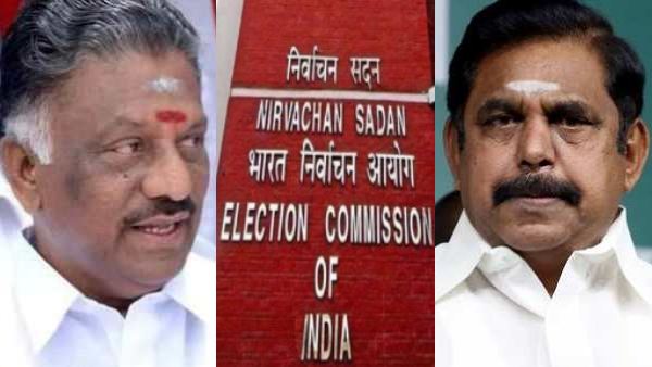 What did the court tell to O Panneerselvam in the Edappadi Palanisamy case against Election Commission? 