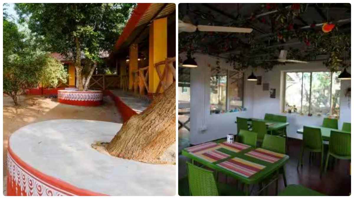 The Ecostay house built in Bhubaneswar, Odisha has caught everyones attention The Ecostay house built in Bhubaneswar, Odisha has caught everyones attention