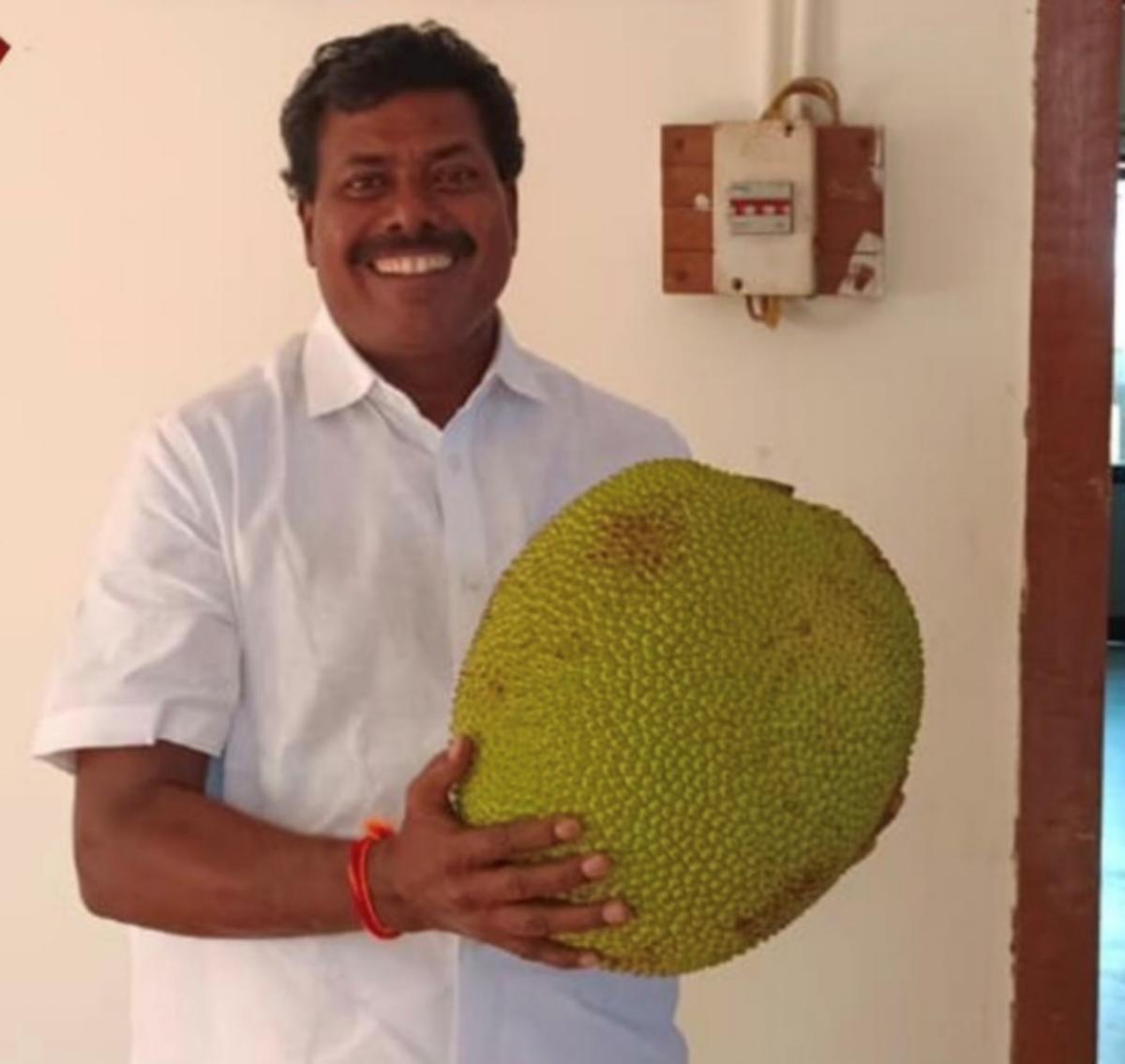 Agriculture Minister MRK Panneerselvam give Panruti jackfruit to all MLAs 