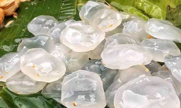 Amazing health benefits of palm fruit in summer helps to lose weight and control diabetes Amazing health benefits of palm fruit in summer helps to lose weight and control diabetes