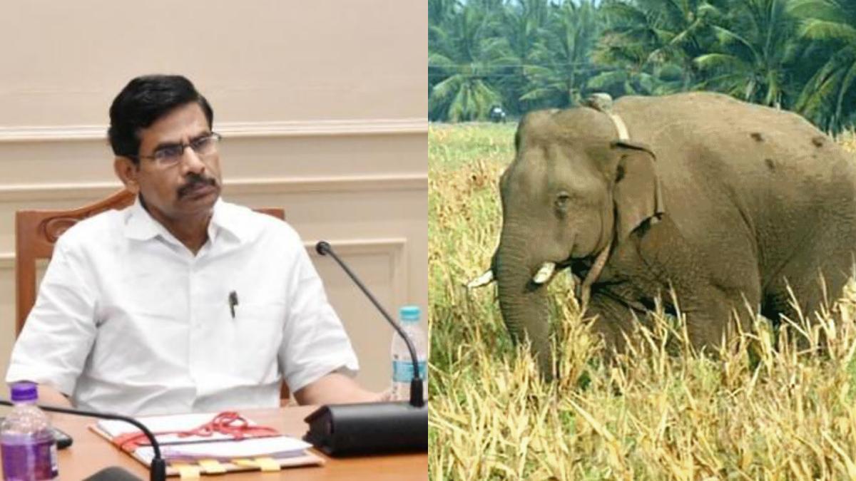 Iraianbu held an consultative meeting on finding a permanent solution to avoid crop damage caused by wild animals 