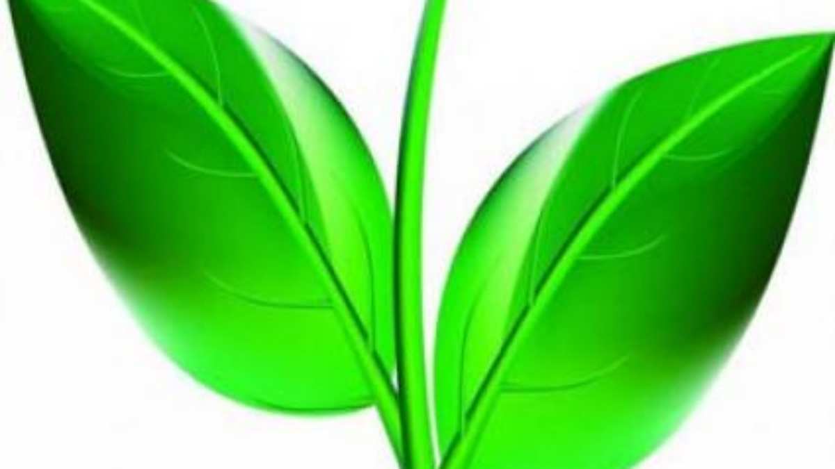 When will the AIADMK issue end and What was Panruti Ramachandrans idea for Panneerselvam When will the AIADMK issue end and What was Panruti Ramachandrans idea for Panneerselvam