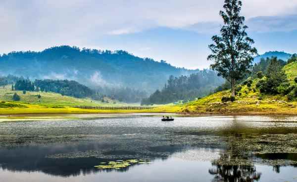 Tamilnadu Government arranges special buses to Kodaikanal for 12 site seeing places 