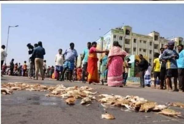 SDPI urged to protect the livelihood of Chennai Pattinappakkam roadside fishermen 