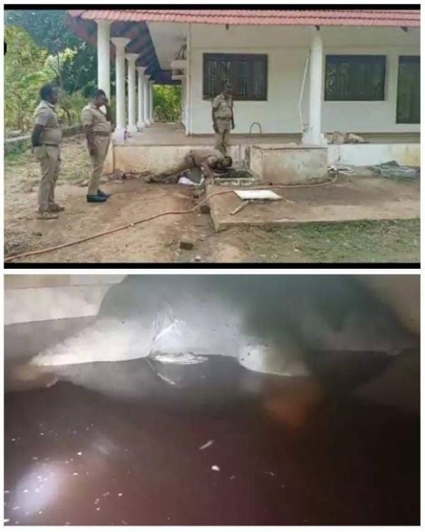 Coimbatore: A baby elephant died after falling into water tank of actor Sathyarajs sisters garden house
