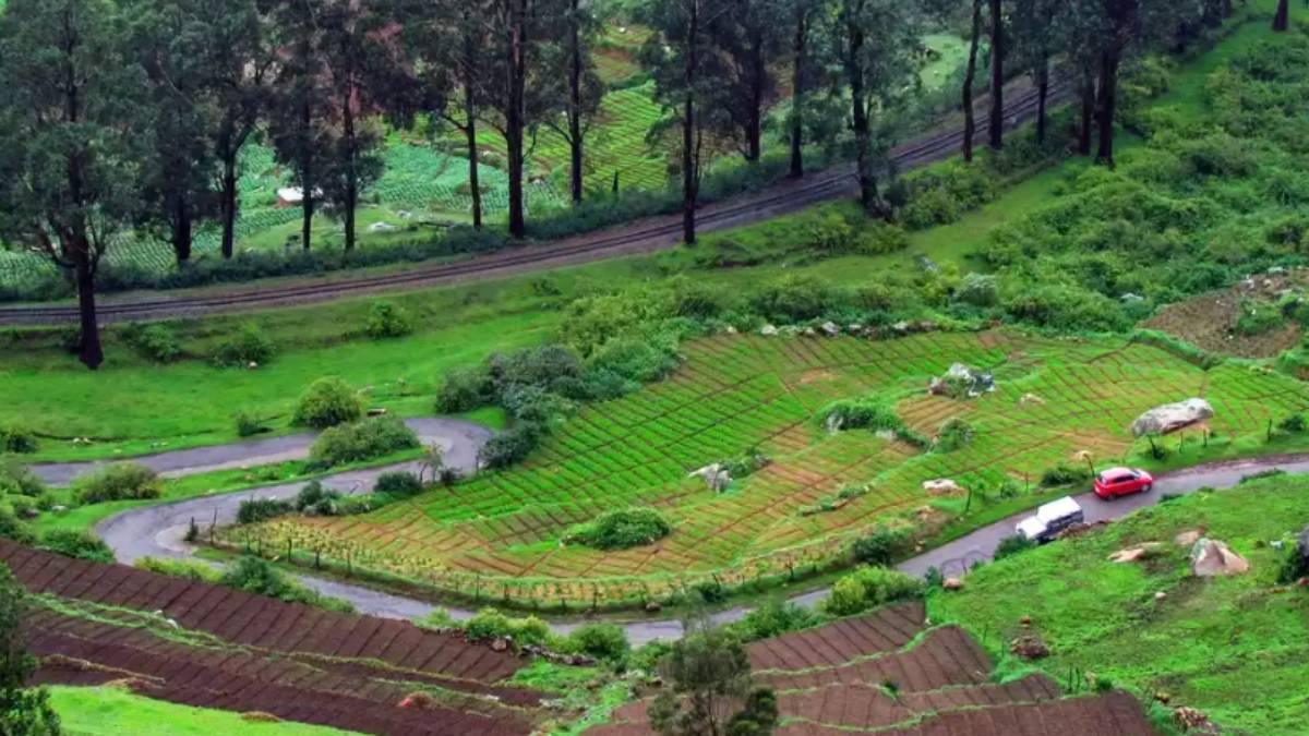 Ooty route has become one way amid the summer season time Ooty route has become one way amid the summer season time