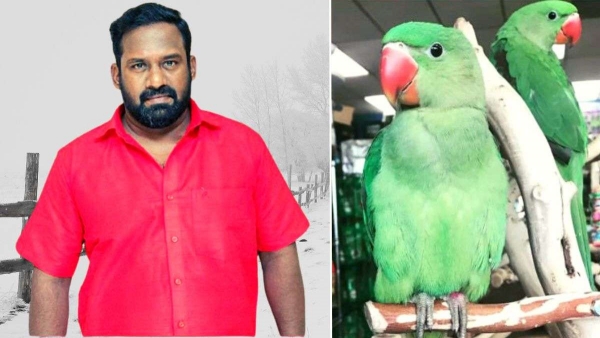 கிளியால் வந்த பிரச்சனை