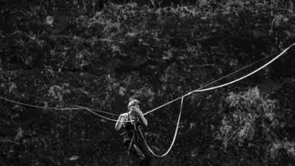 iniya iru malargal Pragya Current Status and Controversies 