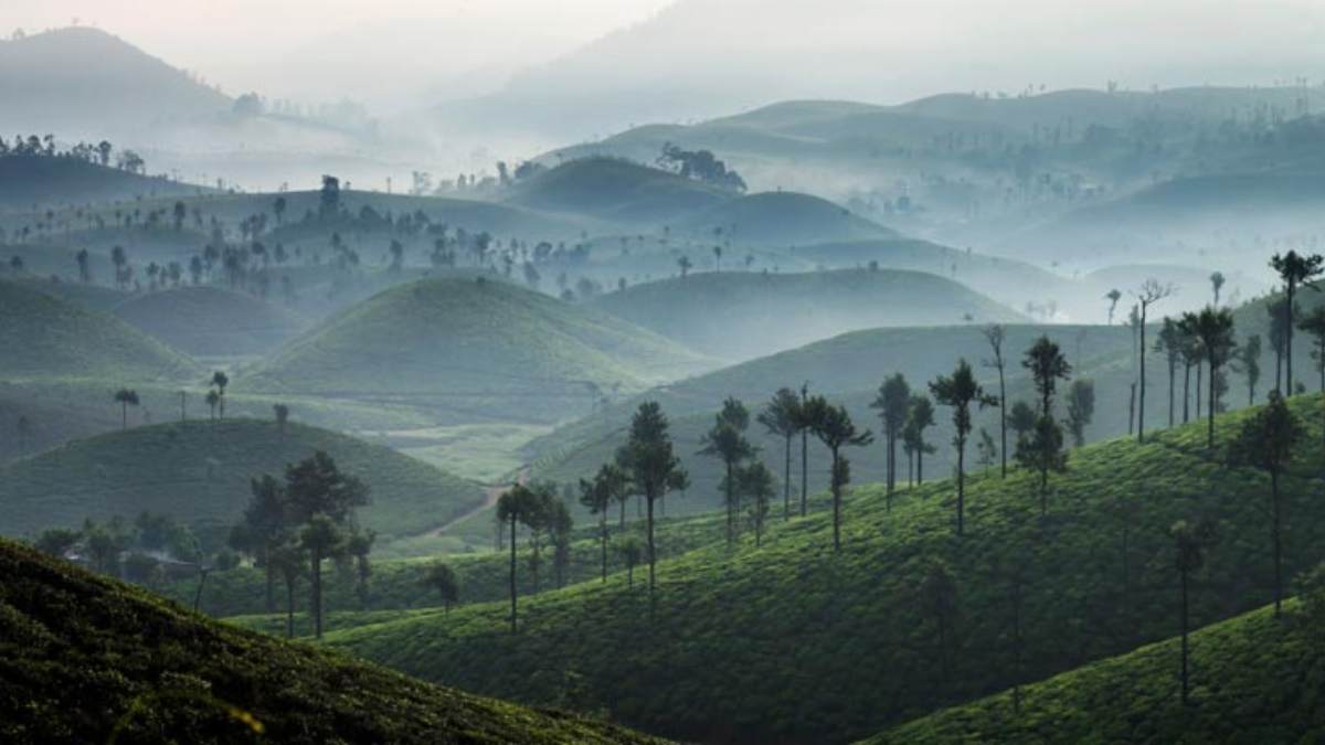 very good news for Tourists : Valparai Athirapalli Road Open by kerala govt very good news for Tourists : Valparai Athirapalli Road Open by kerala govt