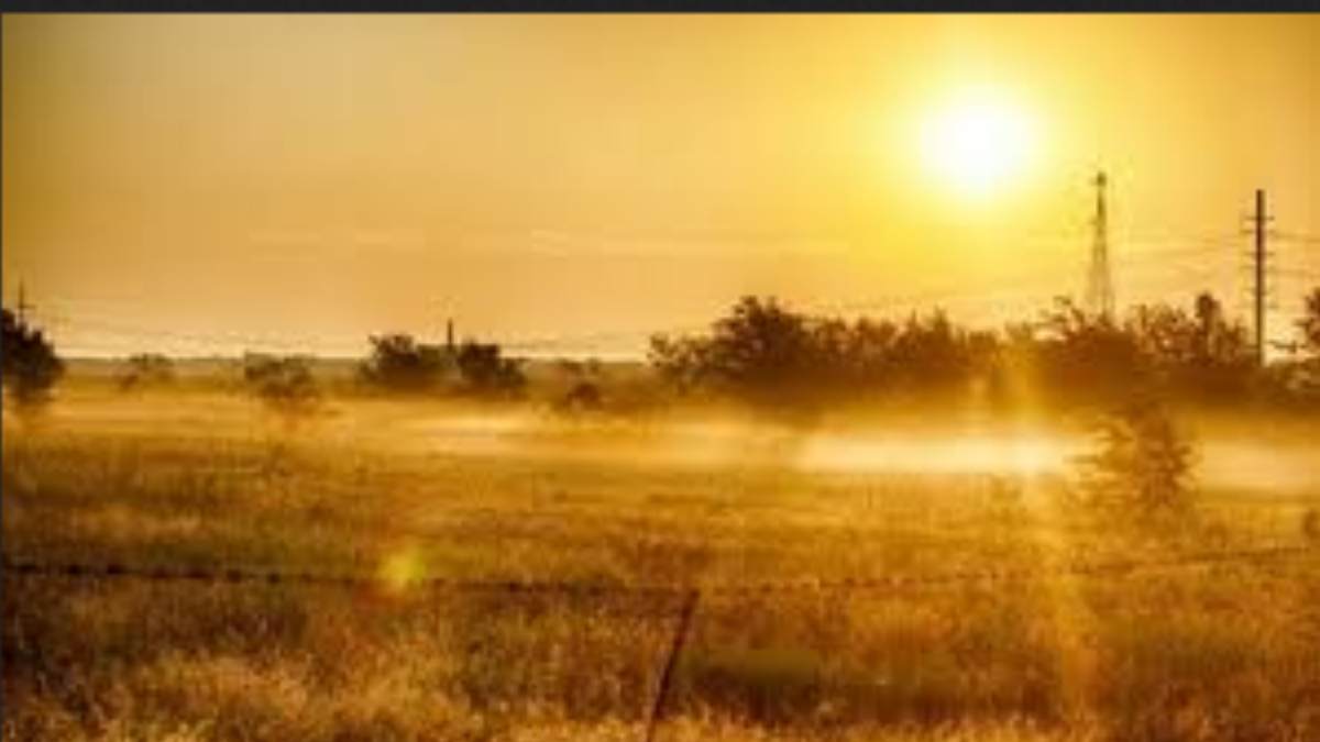 Despite heavy summer, Tamilnadu will get rain says Chennai Meteorological dept