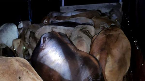  ரகசிய தகவல் 