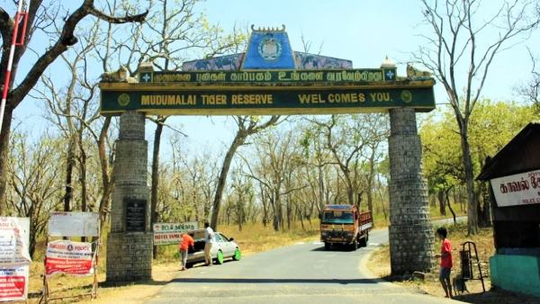 Hotels and Resorts will be closed for 4 days in Mudhumalai