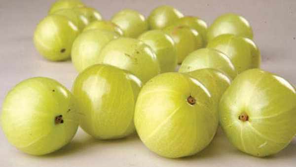 நெல்லிக்காய் பரிகாரம் 