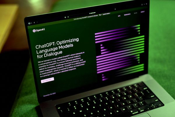 A man confused the Chat GPT itself with a reverse psychology question 