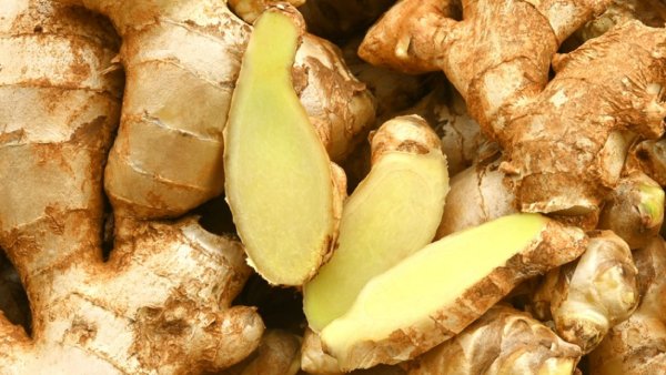 What are the Amazing Medicinal Uses and Multiple Benefits of Ginger During Summer Season!