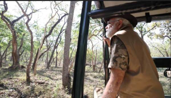 English Media are reporting that PM Narendra Modi got angry in Bandipur Forest for not seeing tigers 