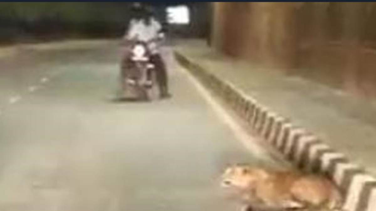 UP woman shot dead accused hide his motor cycle number plate under a culvert UP woman shot dead accused hide his motor cycle number plate under a culvert