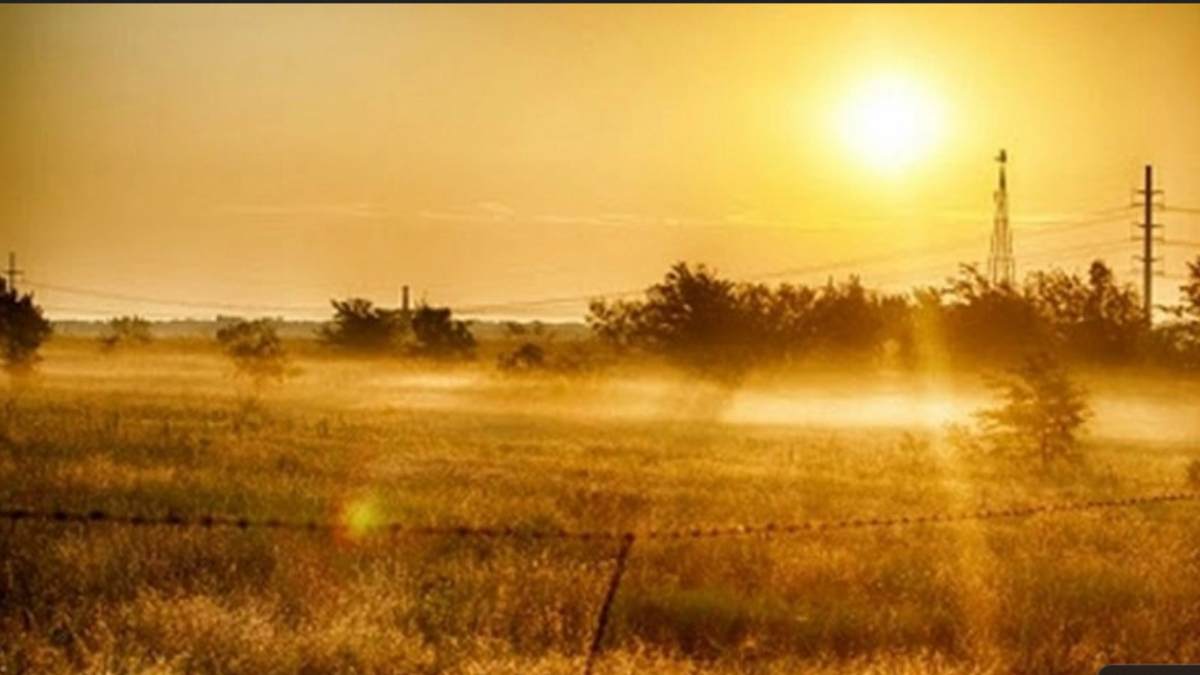 What causes measles during hot season? How to prevent it?