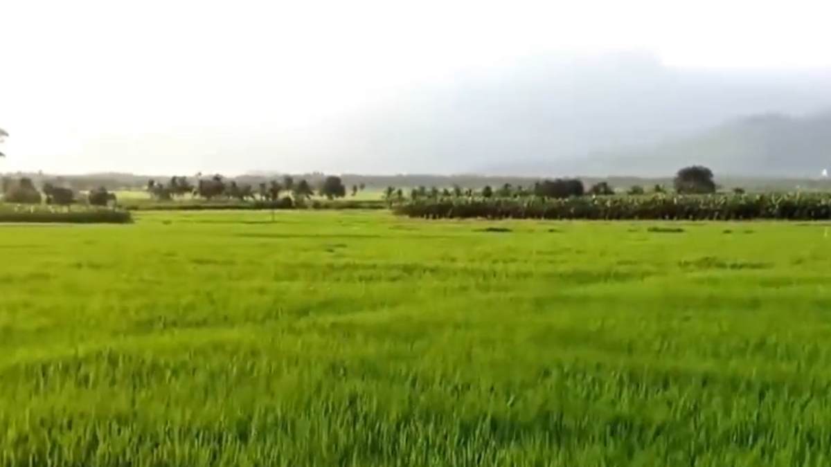 PM Narendra Modi appreciated that the Tuticorin port of Green India project has done well 