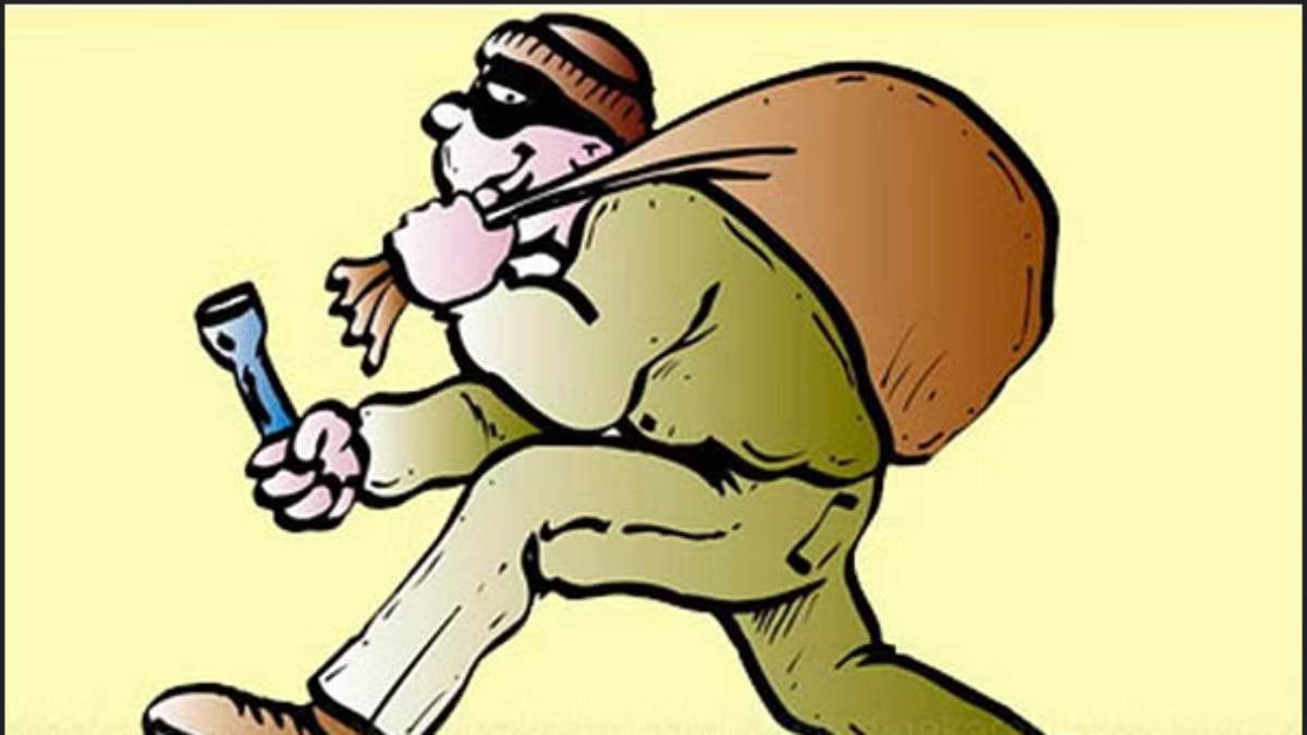 Woman and youth looted 20 pawns of gold from Thirunallar Saneeswarar temple priest Woman and youth looted 20 pawns of gold from Thirunallar Saneeswarar temple priest