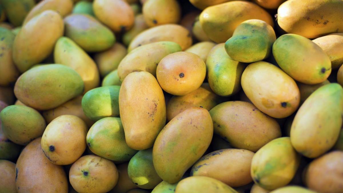 do you know how to check whether mango ripened through carbide stone?